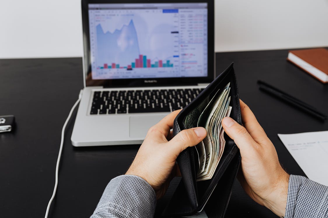 Finance, Portfolio Management Softwares in India
