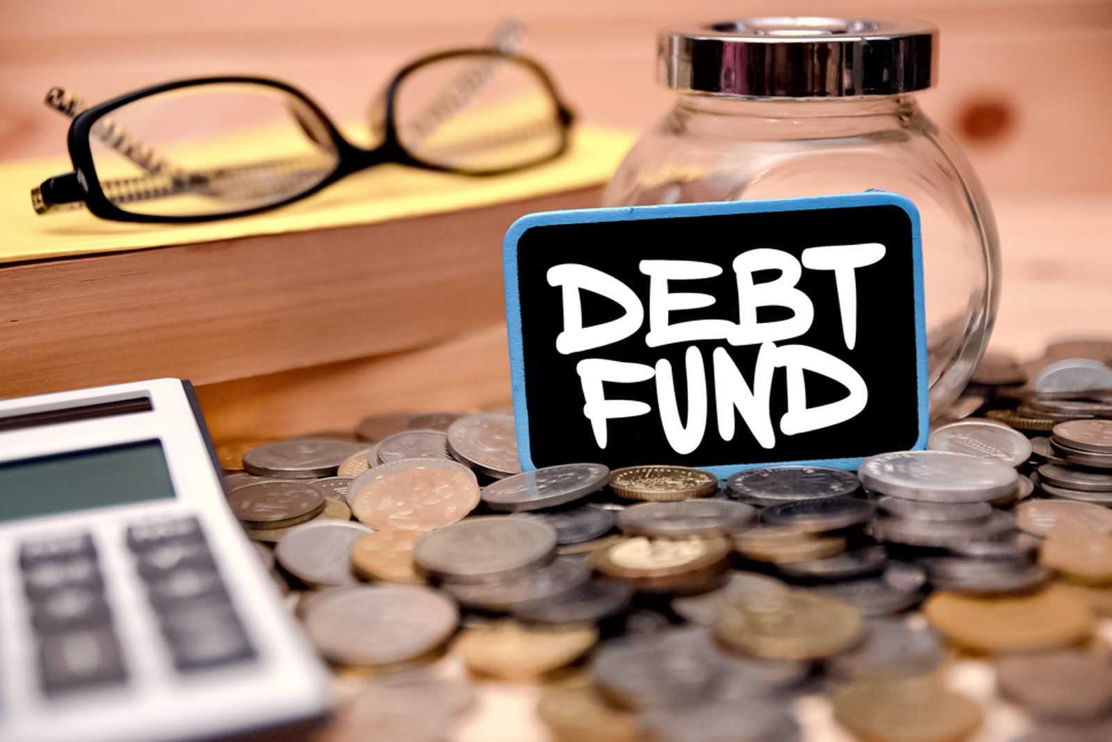 Debt Fund Investors