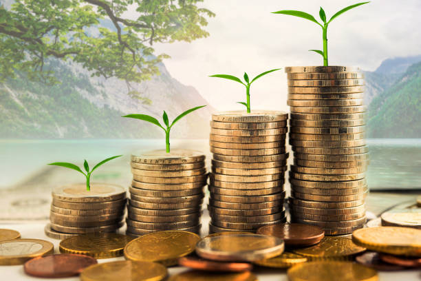 Wealth Creation